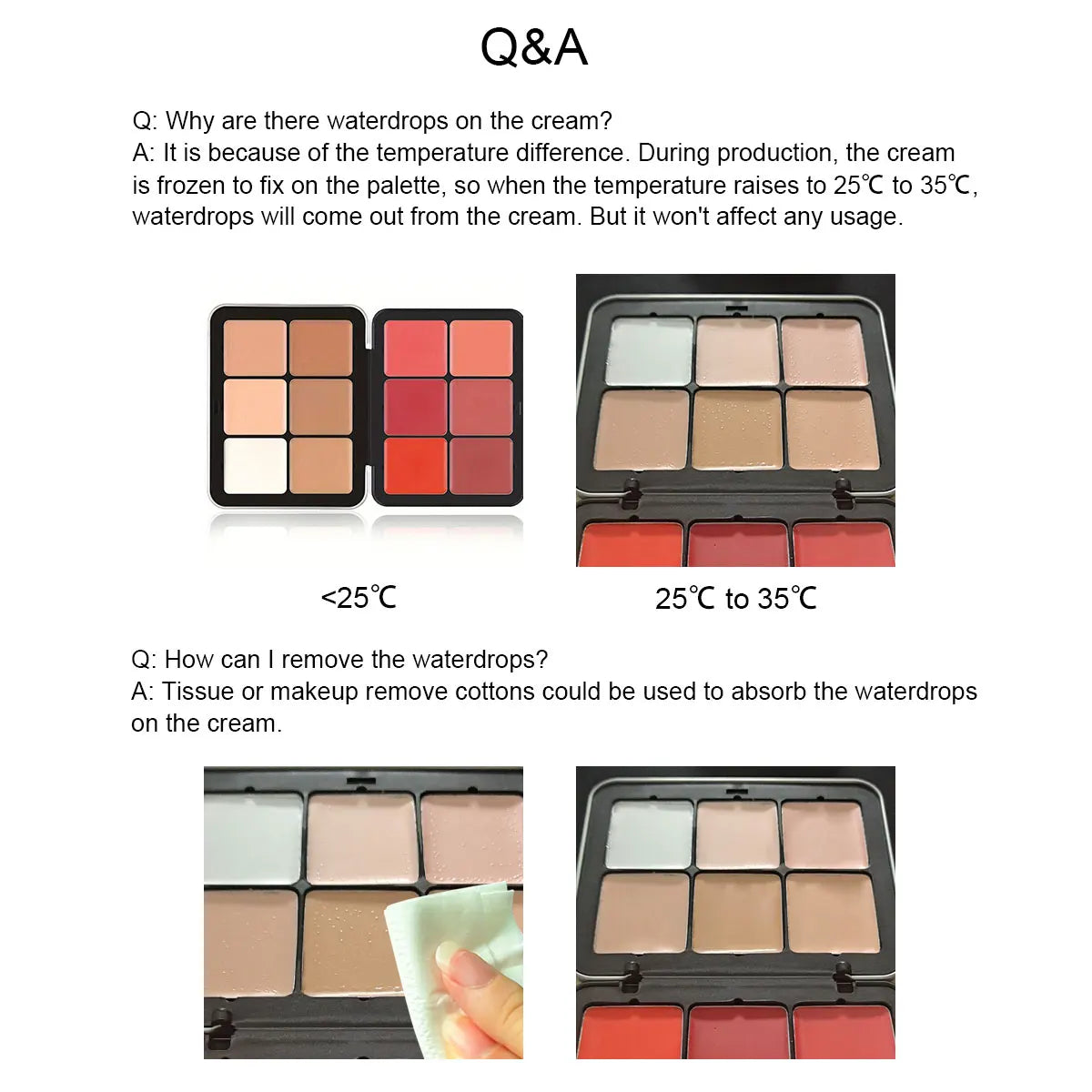 12-Color Concealer Palette